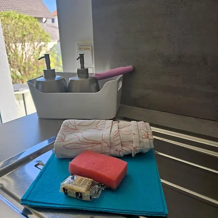 Bodensee Nenzingen Appartement *
