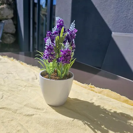 Bodensee Nenzingen *